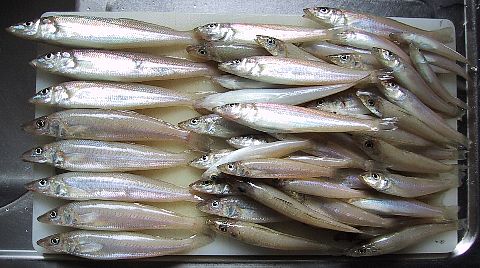 2001年4月28日