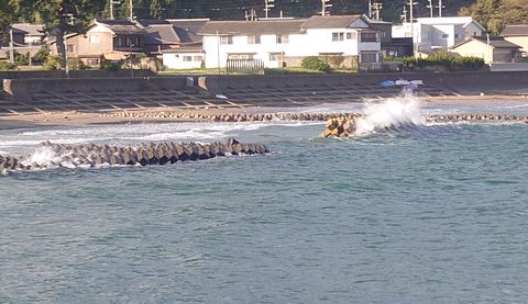 2023年9月24日 荒れている若宮